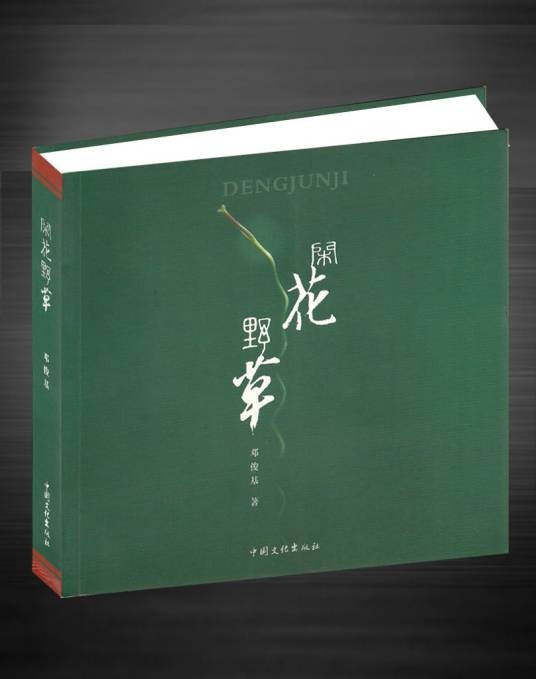 闲花野草（2012年中国文化出版社出版的图书）