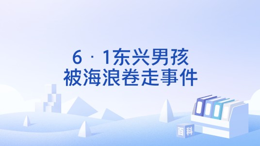 6·1东兴男孩被海浪卷走事件
