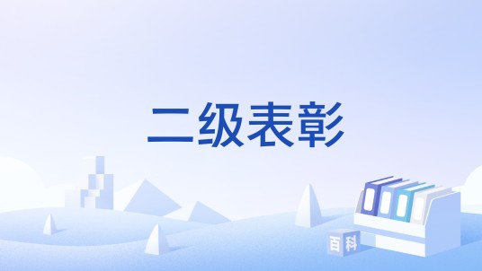 二级表彰