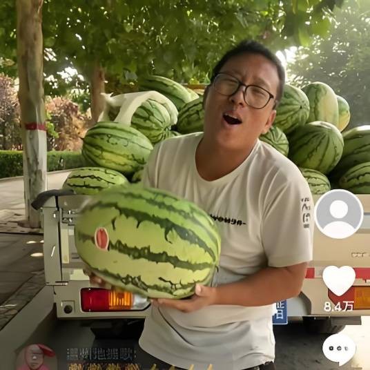 西瓜王子(锋)