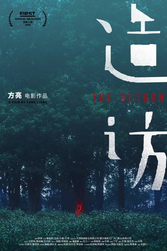 造访（2018年中国电影）
