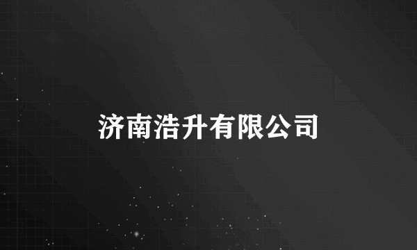 济南浩升有限公司