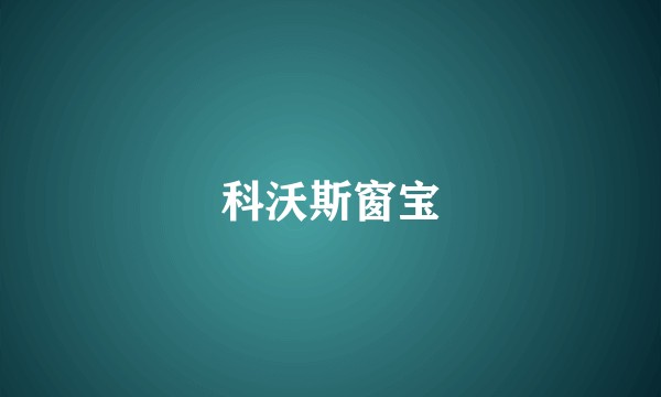科沃斯窗宝