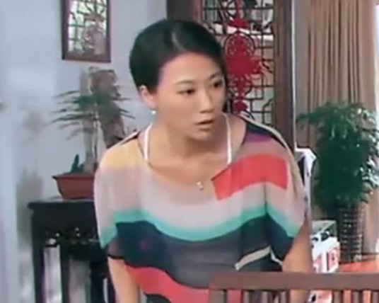 苏文慧（电视剧《那金花和她的女婿》中的角色）