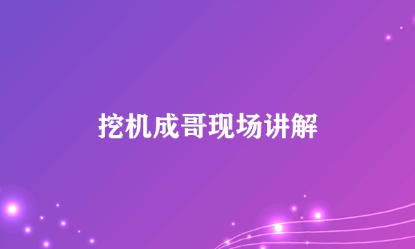 挖机成哥现场讲解