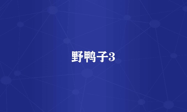 野鸭子3