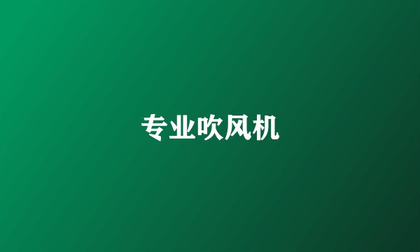 专业吹风机