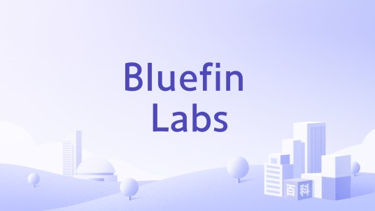 Bluefin Labs