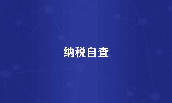 纳税自查