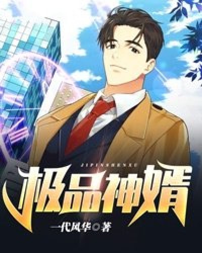 极品神婿（一代风华所著小说）