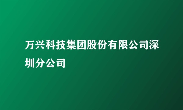 万兴科技集团股份有限公司深圳分公司