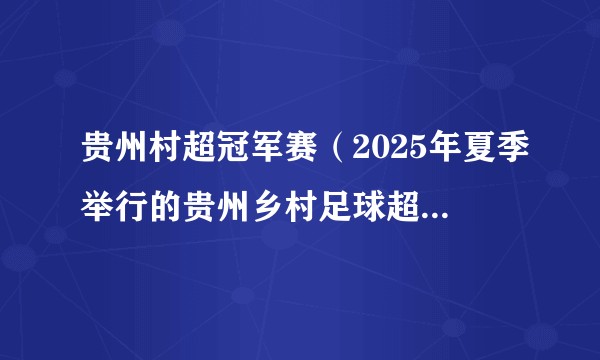 贵州村超冠军赛（2025年夏季举行的贵州乡村足球超级联赛冠军赛）