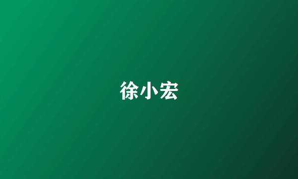 徐小宏