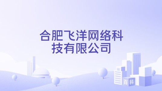 合肥飞洋网络科技有限公司