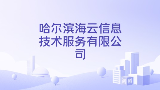 哈尔滨海云信息技术服务有限公司