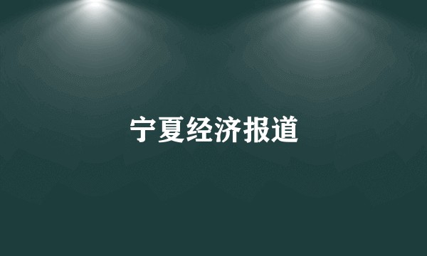 宁夏经济报道