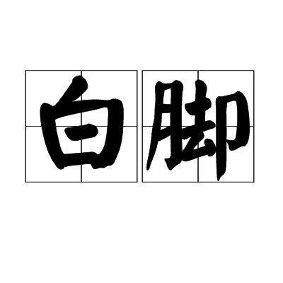 白脚