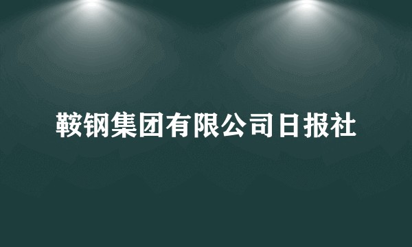 鞍钢集团有限公司日报社