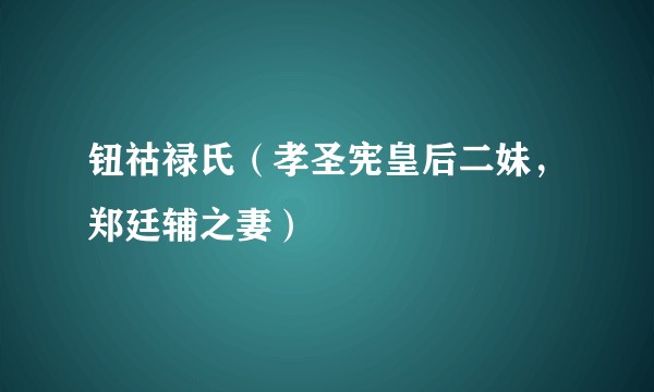 钮祜禄氏（孝圣宪皇后二妹，郑廷辅之妻）