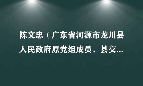 陈文忠（广东省河源市龙川县人民政府原党组成员，县交通运输局原局长）