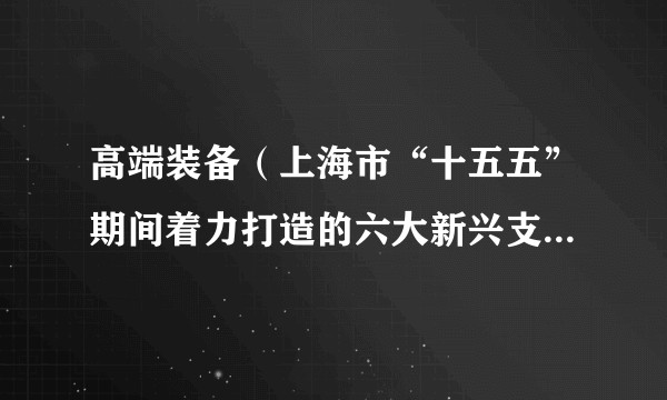 高端装备（上海市“十五五”期间着力打造的六大新兴支柱产业集群之一）