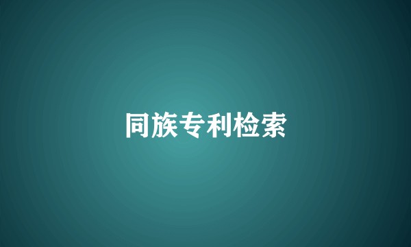 同族专利检索