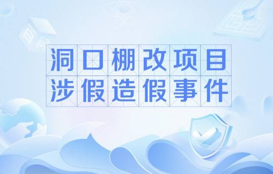 洞口棚改项目涉假造假事件