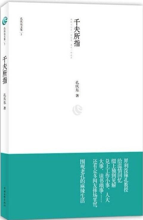 孔庆东文集5：千夫所指