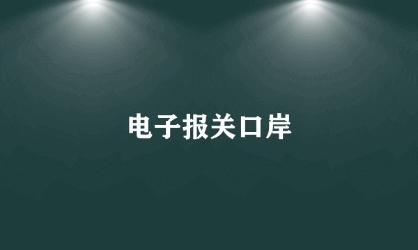 电子报关口岸