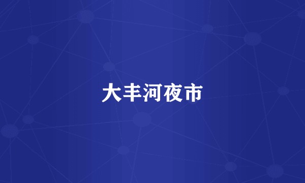 大丰河夜市