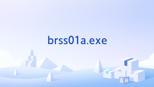 brss01a.exe
