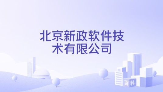 北京新政软件技术有限公司