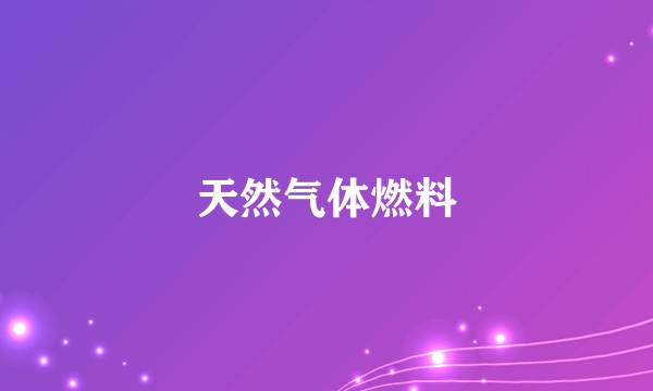 天然气体燃料