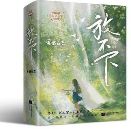 放不下（2021年江苏凤凰文艺出版社出版的图书）