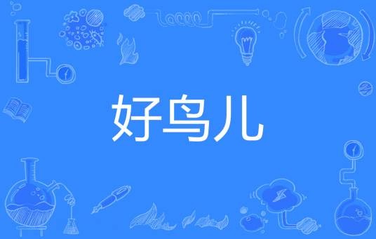 好鸟儿