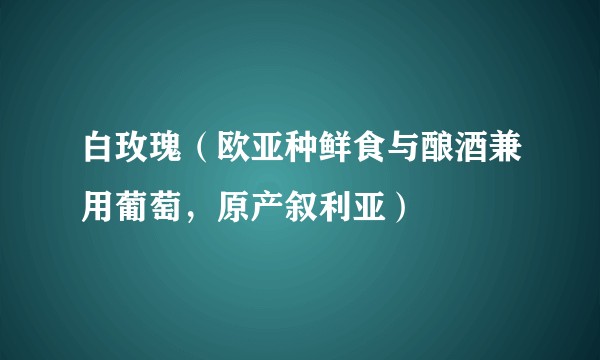 白玫瑰（欧亚种鲜食与酿酒兼用葡萄，原产叙利亚）