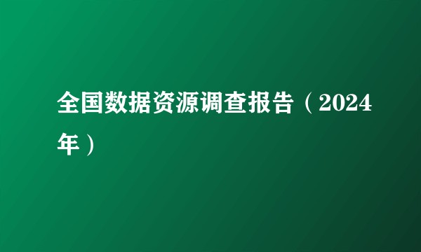 全国数据资源调查报告（2024年）