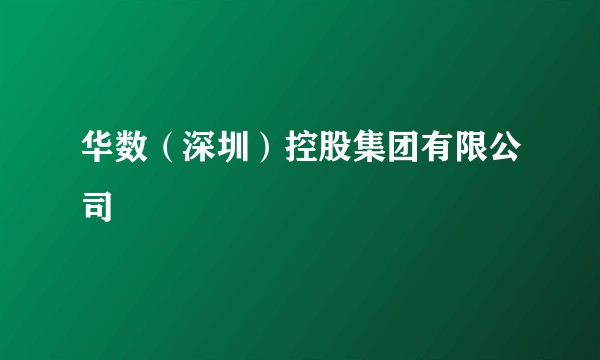 华数（深圳）控股集团有限公司