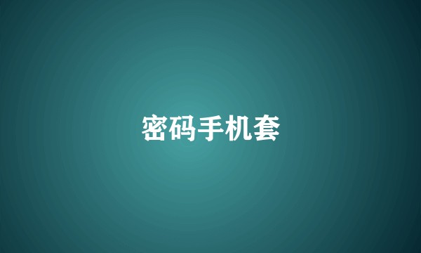密码手机套