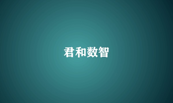 君和数智