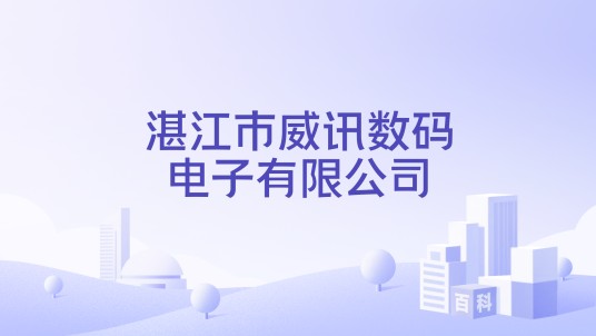 湛江市威讯数码电子有限公司