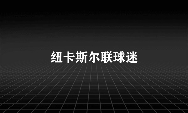纽卡斯尔联球迷
