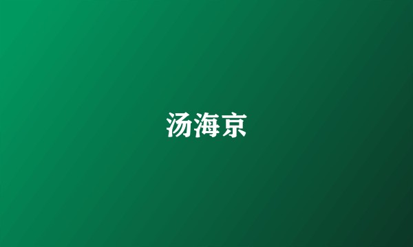 汤海京