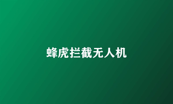 蜂虎拦截无人机