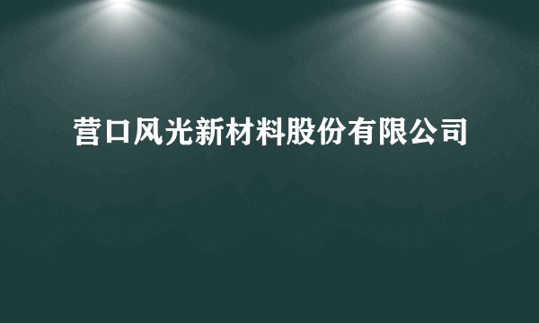 营口风光新材料股份有限公司