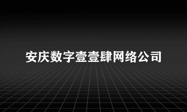 安庆数字壹壹肆网络公司