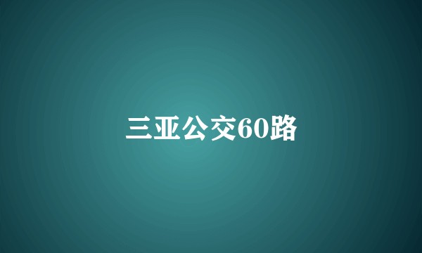 三亚公交60路