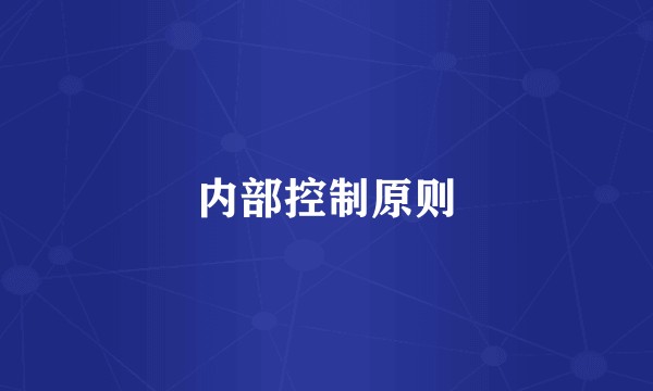 内部控制原则