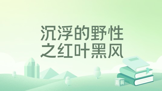 沉浮的野性之红叶黑风