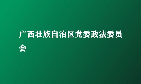 广西壮族自治区党委政法委员会